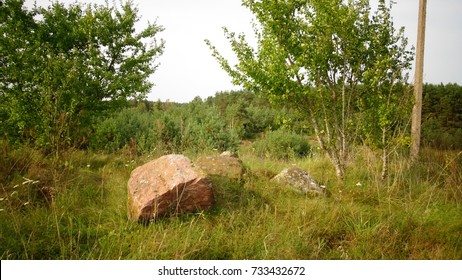 rocks,field and a trees