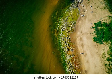 Rocky Baltic Sea Shore With Green Sea Algae On Stones