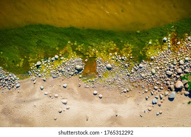 Rocky Baltic Sea Shore With Green Sea Algae On Stones