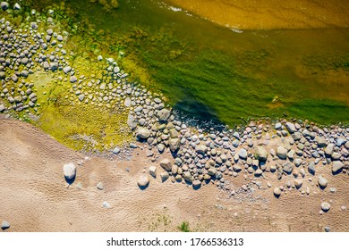 Rocky Baltic Sea Shore With Green Sea Algae On Stones