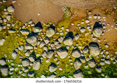 Rocky Baltic Sea Shore With Green Sea Algae On Stones