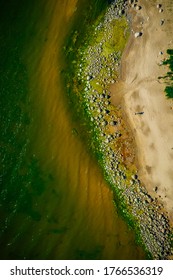 Rocky Baltic Sea Shore With Green Sea Algae On Stones