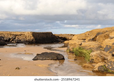 Rocky Beach With Calm Water And Overcast Sky At Low Tide - Powered by Shutterstock