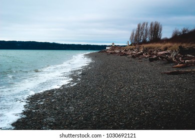 Rocky Beach In Discovery Park, Seattle.