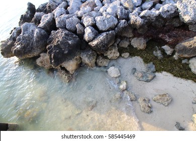 Rocky Beach Florida Keys