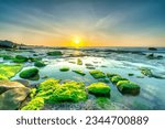 Rocky beach and green moss in sunrise sky at a beautiful beach in central Vietnam. Seascape of Vietnam Strange rocks.