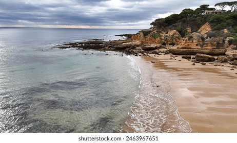 A rocky beach with seaweed and driftwood stretches towards a cloudy sky. Trees line the top of the cliffs overlooking the beach. - Powered by Shutterstock