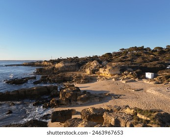 A rocky beach with seaweed and driftwood stretches towards a cloudy sky. Trees line the top of the cliffs overlooking the beach. - Powered by Shutterstock