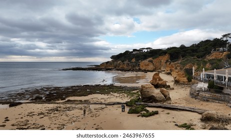 A rocky beach with seaweed and driftwood stretches towards a cloudy sky. Trees line the top of the cliffs overlooking the beach. - Powered by Shutterstock