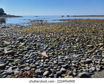 A rocky beach shoreline on a summer day. - Powered by Shutterstock