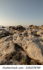 Rocky Beach. View From A Low Angle