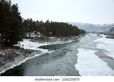 A Rocky Bed Of A Beautiful Mountain River Overgrown With Tall Pines, Flowing Through A Snow-covered Valley. Katun River, Altai, Siberia, Russia.