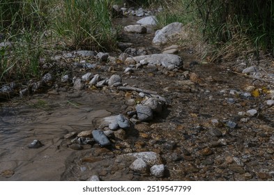 the rocky bed of a mountain river with clear water on a sunny day - Powered by Shutterstock