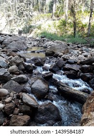 Rocky Brook Or Stream In Kerala, India