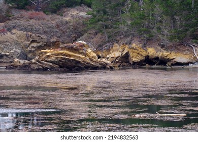 Rocky California Pacific Ocean Coast At Point Lobos In Summer