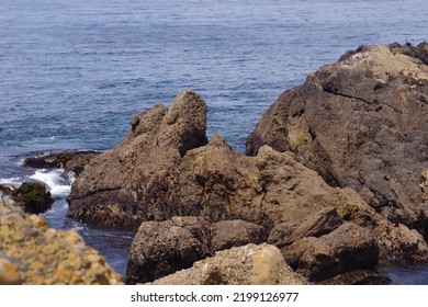 Rocky California Pacific Ocean Coast At Point Lobos In Summer