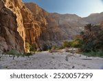 Rocky canyon, palm trees, trail. Blue sky, sunny day. Adventure tourism. Magnificent landscape. Wadi Ash Shab, Oman, Middle East, Asia. February 18, 2023.