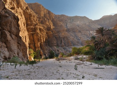 Rocky canyon, palm trees, trail. Blue sky, sunny day. Adventure tourism. Magnificent landscape. Wadi Ash Shab, Oman, Middle East, Asia. February 18, 2023. - Powered by Shutterstock