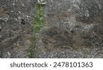 Rocky cliffs covered with a bit of moss at the bottom of the volcanic crater.