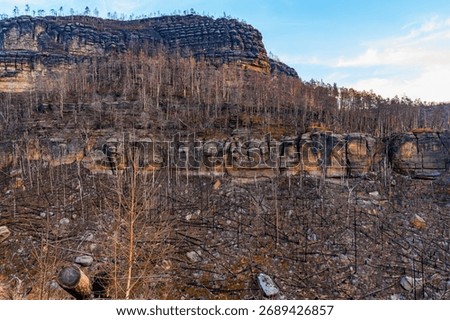 Rocky cliffs and sparse forest in late autumn landscape.