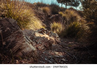 A Rocky Climbing Path Or Road In The Country Side Of The Famous City Of Constantine Algeria  - Hiking Trail With No People Or Tourists, Constantine, Algeria 