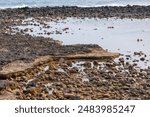 Rocky coast with a body of water in the background. The water is calm and the rocks are scattered throughout the area. Atlantic ocean low tide scenery 