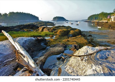 The Rocky Coast Of Cape Ann