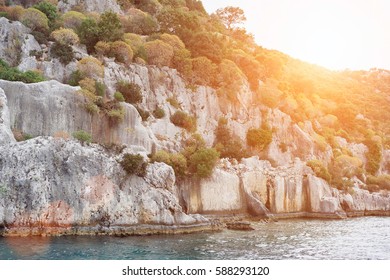 Rocky coast with green trees and the sea at sunset