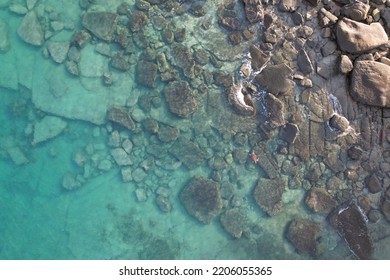 
Rocky Coast Sea Turtle Wigram Island Northern Territory Australia