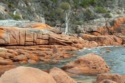 Côte Rocheuse En Tasmanie, Australie