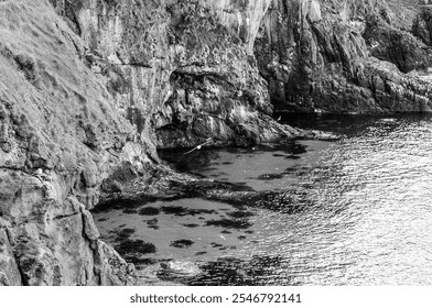 rocky coastal cliff with a serene ocean cove, featuring rippling water and a seabird mid-flight. perfect for nature, wildlife, and travel themes - Powered by Shutterstock