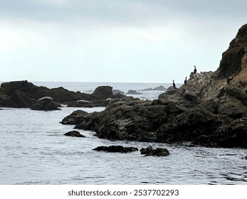 Rocky coastal landscape with seabirds perched on rugged cliffs under an overcast sky, creating a serene ocean scene - Powered by Shutterstock