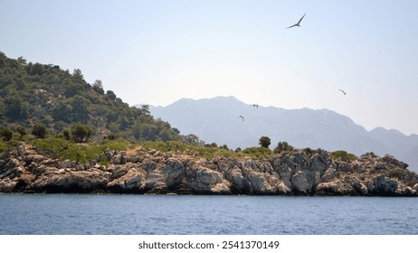 Rocky coastal landscape with seagulls flying overhead, creating a serene and natural scene under a clear sky by the water. - Powered by Shutterstock