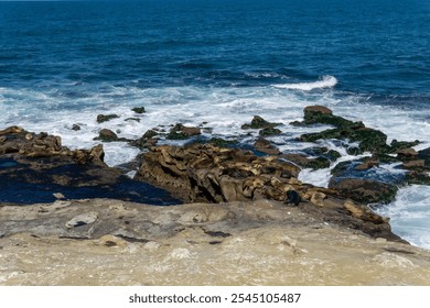  Rocky coastal scene with a large group of sea lions lounging on the rocks. - Powered by Shutterstock