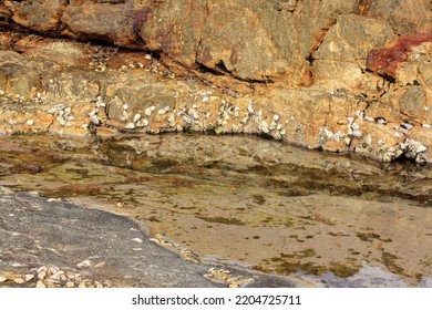 Rocky Coastal Tidal Pools At The Ocean