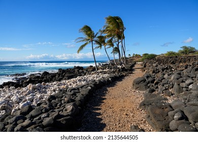 Rocky Coastal Trail Path Following The Pacific Ocean In The Ancient Fishing Village In Ruins Of The Lapakahi State Historical Park On The Island Of Hawai'i (Big Island) In The United States