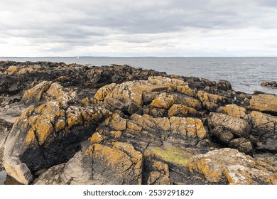 A rocky coastline featuring large, weathered boulders covered in patches of orange lichen. The rugged rocks contrast against the calm sea, which stretches to the horizon under a cloudy sky. - Powered by Shutterstock