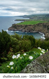 Rocky Coasts Of Sao Miguel Island, Azores, Portugal