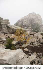 A Rocky And Dangerous Terrain On A Foggy Day