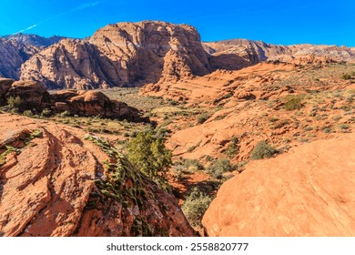 A rocky desert landscape with a lone tree in the foreground. The sky is clear and blue, and the mountains in the background are a deep red color. The scene is peaceful and serene - Powered by Shutterstock