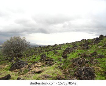 Rocky Field From Kohala Mountain Road Toward Kawaihae