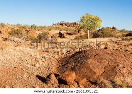 Rocky granite outcrop in a dry landscape with a green tree in the Australian outback countryside.