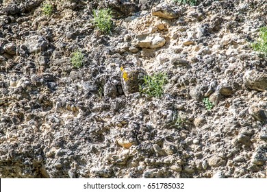 Rocky Ground As A Background