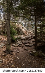 Rocky Hiking Path In Woods