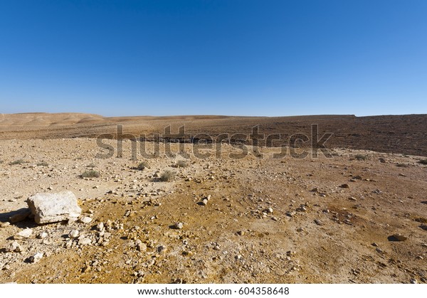 イスラエルのネゲフ砂漠の岩だらけの丘 息をのむような イスラエル南部砂漠の砂漠の岩の風景 の写真素材 今すぐ編集