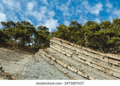 A rocky hillside with layered sedimentary rock formations, topped with dense green pine trees under a bright blue sky with scattered clouds - Powered by Shutterstock