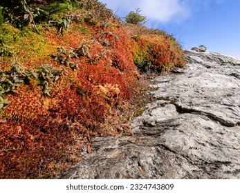 A rocky hillside on Mount Mansfield, Vermont, USA, is lined with red and orange vegetation.