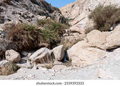 A rocky hillside with a small stream running through it. The rocks are large and scattered throughout the area. The scene is peaceful and serene - Powered by Shutterstock