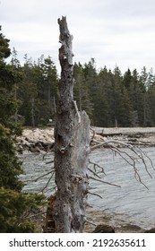 Rocky Land Sticking Out In The Ocean