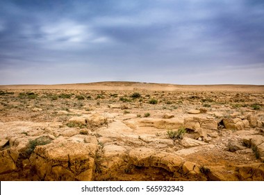 Rocky Landscape